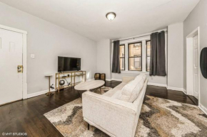 2 BR Apt Near Downtown Chicago and the LakeFront